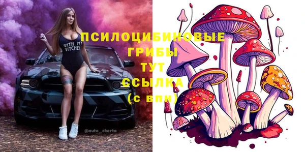 Альфа ПВП Бородино