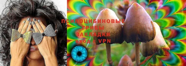 Альфа ПВП Бородино
