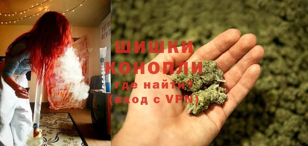 мдпв Бронницы