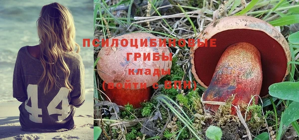 Альфа ПВП Бородино